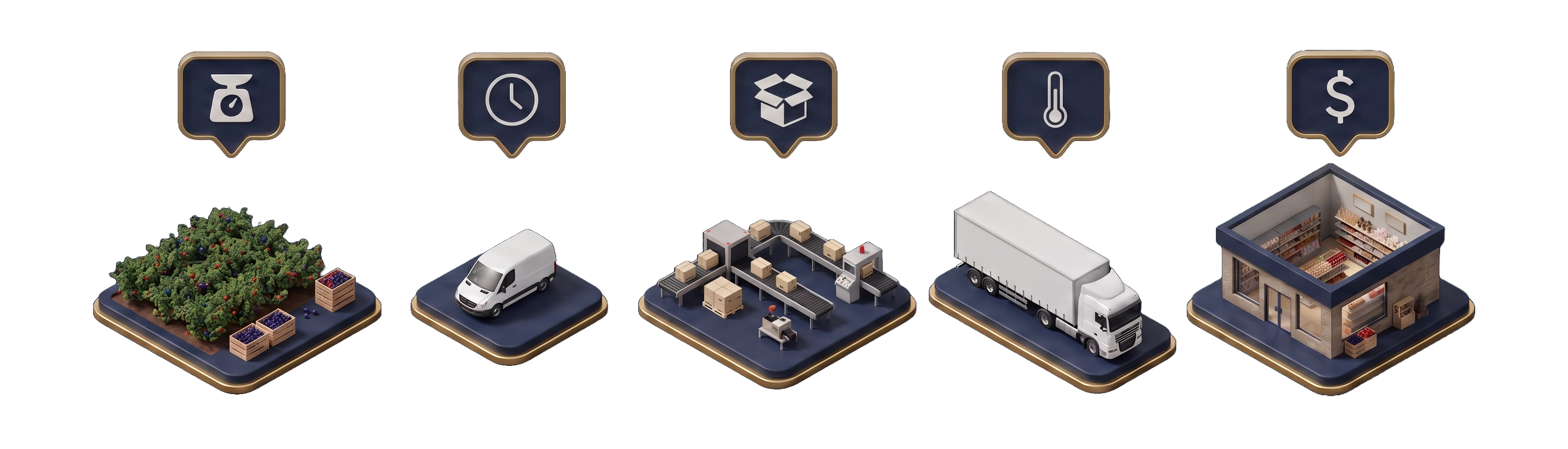 Infographic: Broker.farm gathers data from the whole supply chain — from the grower, through transport and the packhouse, to the retail chain